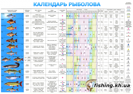 Прогноз клева рыбы на 2010 год