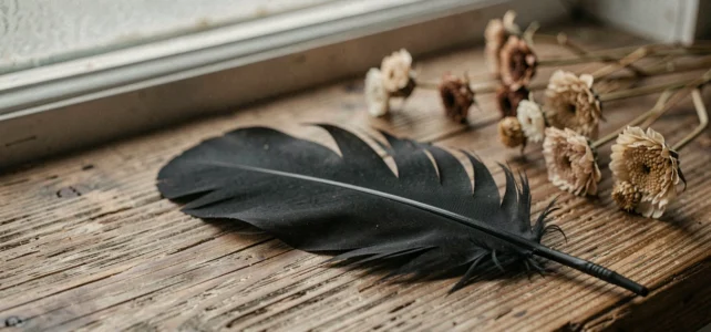 Plumes noires et blanches : découvrez leur puissante signification spirituelle et symbolique Plumes noires et blanches : découvrez leur puissante signification spirituelle et symbolique